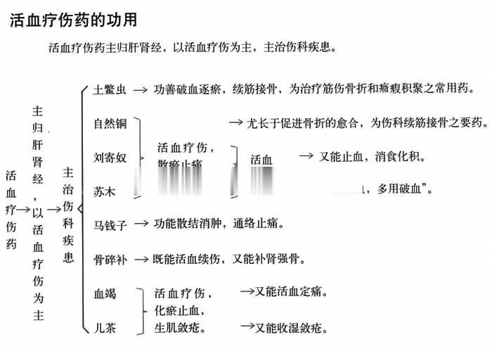 活血疗伤药的功用